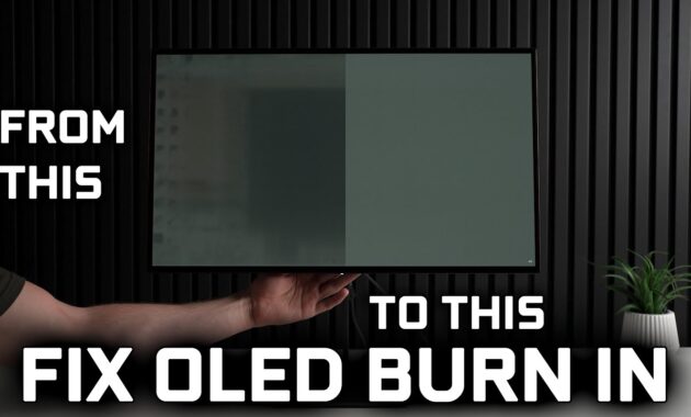 Cara Mencegah Burn-In OLED agar Layar Tetap Awet (Foto: Youtube/The Display Guy)